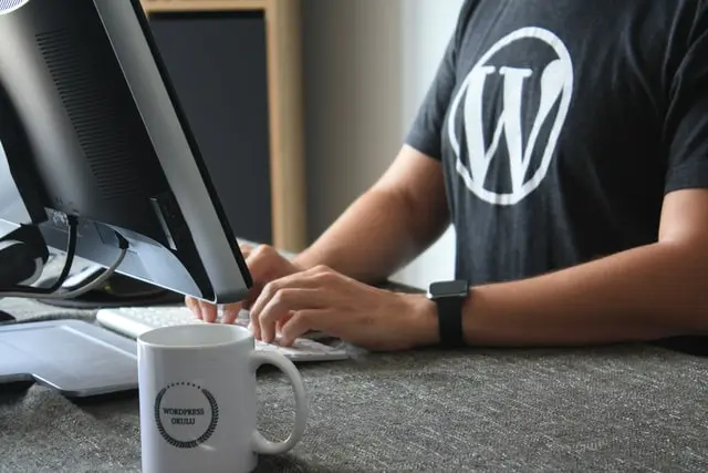 Wordpress professionals